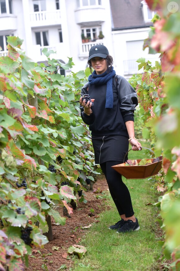 Camélia Jordana participe aux vendanges des vignes du clos Montmartre à Paris le 8 octobre 2016.