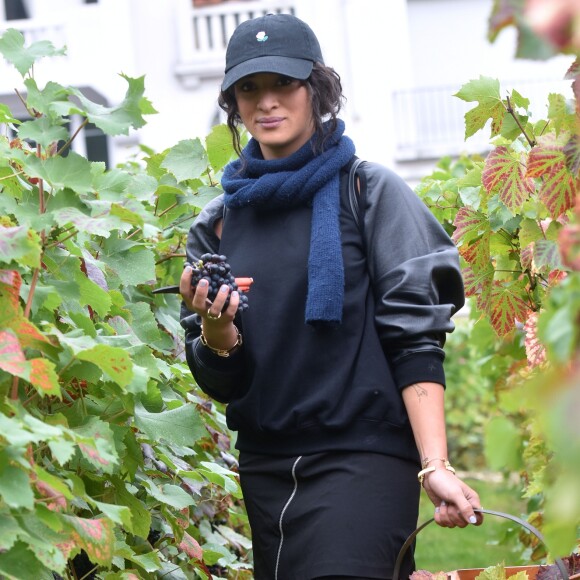 Camélia Jordana participe aux vendanges des vignes du clos Montmartre à Paris le 8 octobre 2016.