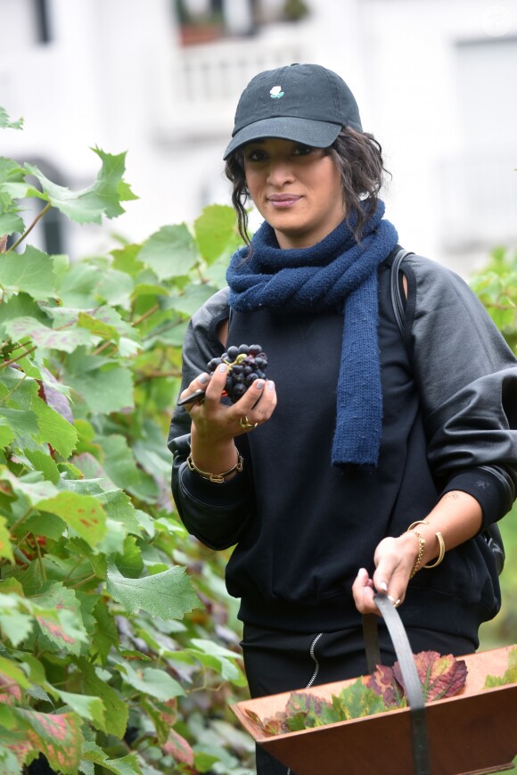 Camélia Jordana participe aux vendanges des vignes du clos Montmartre à Paris le 8 octobre 2016.