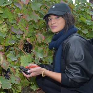 Camélia Jordana participe aux vendanges des vignes du clos Montmartre à Paris le 8 octobre 2016.