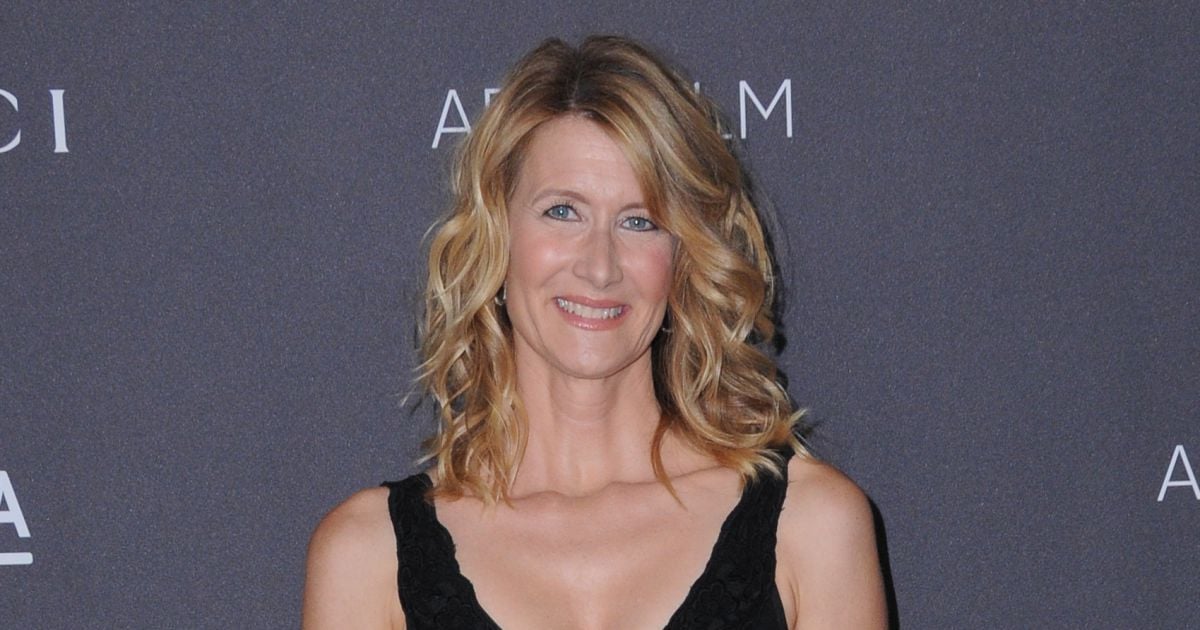 Laura Dern Films Et Programmes Tv Laura Dern au gala LACMA Art + Film à Los Angeles, le 29 octobre 2016