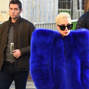 Lady Gaga au Grand Palais à Paris, le 29 novembre 2016.