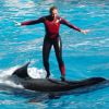 Dawn Brancheau, dresseur d'orques et notamment de Tilikum au SeaWorld Adventure Park, le 30 décembre 2005. Elle a été tué par son orque en février 2010.