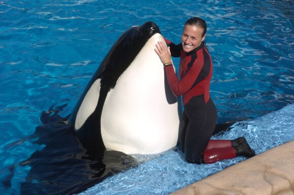 Dawn Brancheau, dresseur d'orques et notamment de Tilikum au SeaWorld Adventure Park, le 30 décembre 2005.
