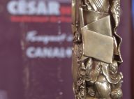 César 2017 : Polanski "indiscutable", les snobés... Ce qu'il faut retenir