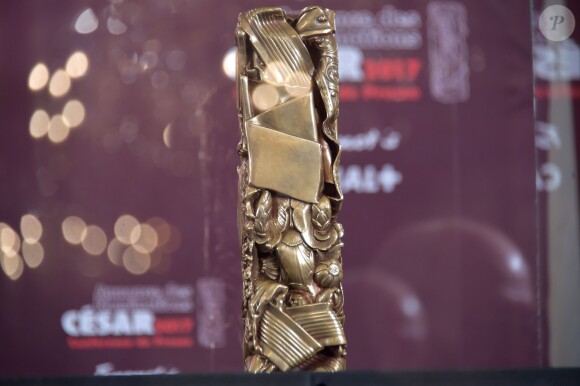 Illustration - Conférence de presse pour l'annonce des nominations pour les César 2017 au Fouquet's à Paris. Le 25 janvier 2017 © Giancarlo Gorassini / Bestimage