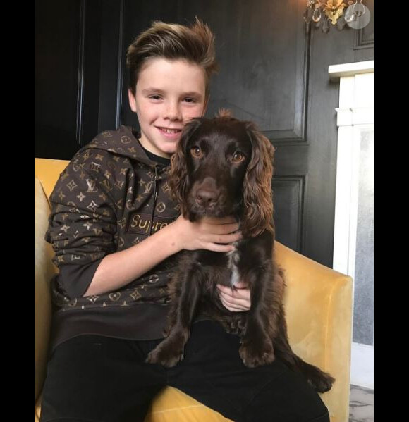 Cruz Beckham, 11 ans, est l'heureux détenteur d'un "Box Logo" Louis Vuitton x Supreme ! Janvier 2017.