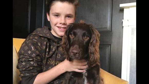 Cruz Beckham : Le fils de David et Victoria reçoit un cadeau inestimable