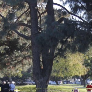 Harrison Ford a été blessé quand le petit avion biplace dans lequel il se trouvait s'est écrasé sur un parcours de golf dans les environs de Los Angeles le 5 mars 2015