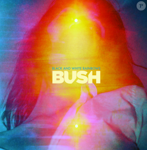 Gavin Rossdale du groupe Bush publiera son nouvel album, le 3 mars 2017