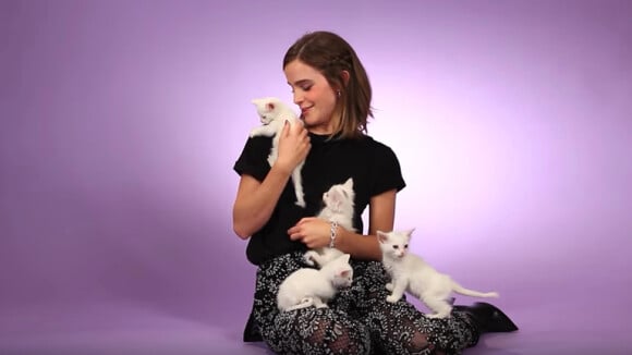 Emma Watson fait une interview pour BuzzFeed avec des chatons.