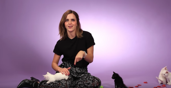 Emma Watson pendant une interview pour BuzzFeed avec des chatons. (capture d'écran)