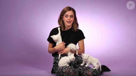 Emma Watson fait une interview pour BuzzFeed avec des chatons. (capture d'écran)