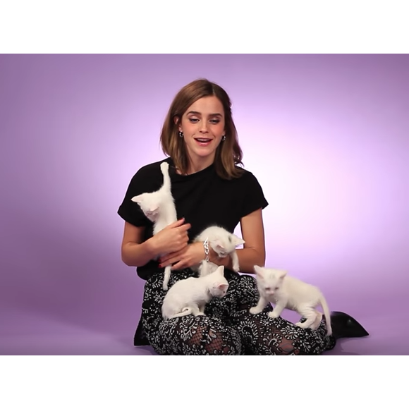 Emma Watson fait une interview pour BuzzFeed avec des chatons. (capture d'écran)