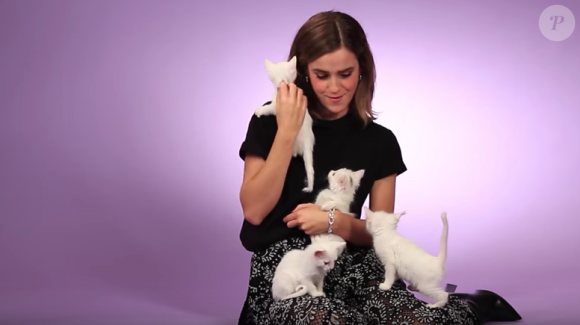 Emma Watson fait une interview pour BuzzFeed avec des chatons. (capture d'écran)