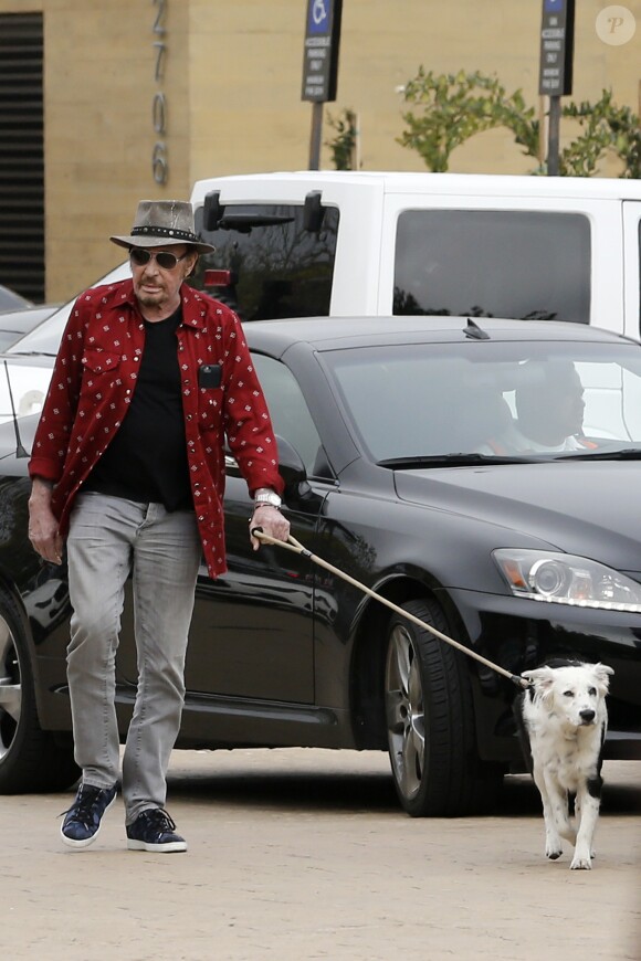 Johnny Hallyday arrive avec sa chienne Cheyenne pour aller déjeuner avec ses amis, P. Rambaldi et le musicien J.C. Sindres au restaurant Nobu dans le quartier de Malibu à Los Angeles, Californie, Etats-Unis, le 2 avril 2017.