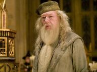 Les Animaux fantastiques 2 : On sait qui va jouer Albus Dumbledore jeune !