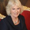 Camilla Parker-Bowles, duchesse de Cornouailles visitant l'appartement présidentiel au palais Hofburg à Vienne , le 5 avril 2017, lors du huitième jour du tour du couple princier en Europe qui va durer 9 jours.