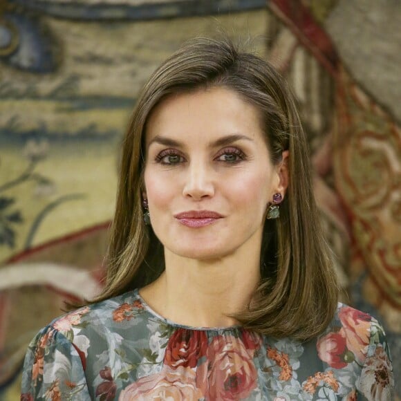 La reine Letizia d'Espagne, vêtue d'une toute nouvelle robe Zara, lors d'audiences au palais de la Zarzuela le 17 octobre 2017 à Madrid.