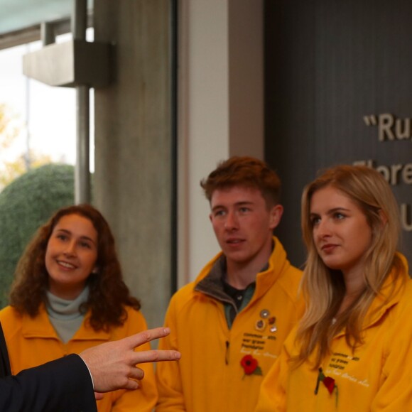 Le prince Harry a rencontré les volontaires de la Commission CWGC avant le match international de rugby entre l'Angleterre et l'Argentine à Londres le 11 novembre 2017.