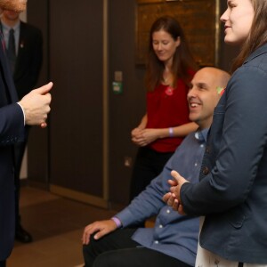 Le prince Harry a rencontré les volontaires de la Commission CWGC avant le match international de rugby entre l'Angleterre et l'Argentine à Londres le 11 novembre 2017.