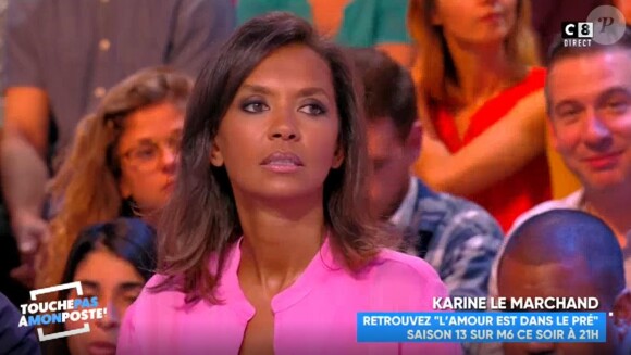 Karine Le Marchand révèle avoir été draguée et même "tripotée" par certains agriculteurs de "L'amour est dans le pré" (M6), lundi 15 janvier 2018 sur le plateau de "Touche pas à mon poste" (C8).