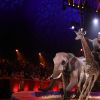 Jozsef Richter - Grand tableau d'animaux - 2ème jour - 42ème Festival International du Cirque de Monte-Carlo, le 19 janvier 2018. © Claudia Albuquerque/Bestimage