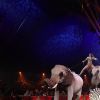 Jozsef Richter - Grand tableau d'animaux - 2ème jour - 42ème Festival International du Cirque de Monte-Carlo, le 19 janvier 2018. © Jean-Charles Vinaj/Pool Monaco/Bestimage