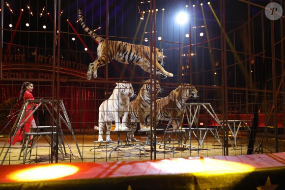 Carmen Zander et ses tigres - 2ème jour - 42ème Festival International du Cirque de Monte-Carlo, le 19 janvier 2018. © Claudia Albuquerque/Bestimage