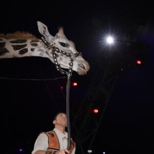 Jozsef Richter et sa girafe devant la princesse Stéphanie - 2ème jour - 42ème Festival International du Cirque de Monte-Carlo, le 19 janvier 2018. © Claudia Albuquerque/Bestimage