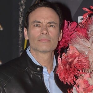 Anthony Delon - Photocall de 14ème édition de la finale du concours Top Model Belgium au Lido à Paris le 21 janvier 2018. © Giancarlo Gorassini/Bestimage