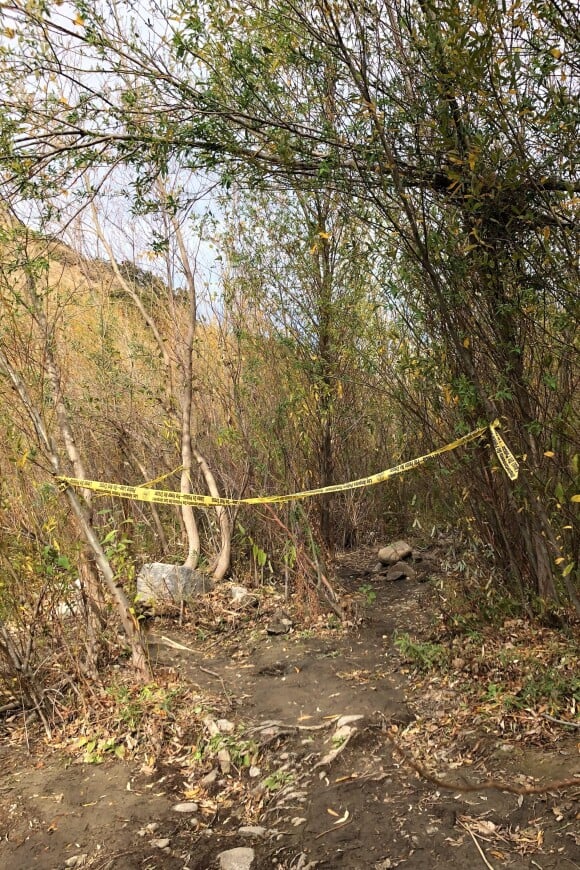 Illustration du lieu où l'acteur Mark Salling s'est suicidé, pendu à un arbre. Le 30 janvier 2018.