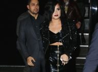 Demi Lovato : Grillée avec son ex Wilmer Valderrama... Retour de flamme ?