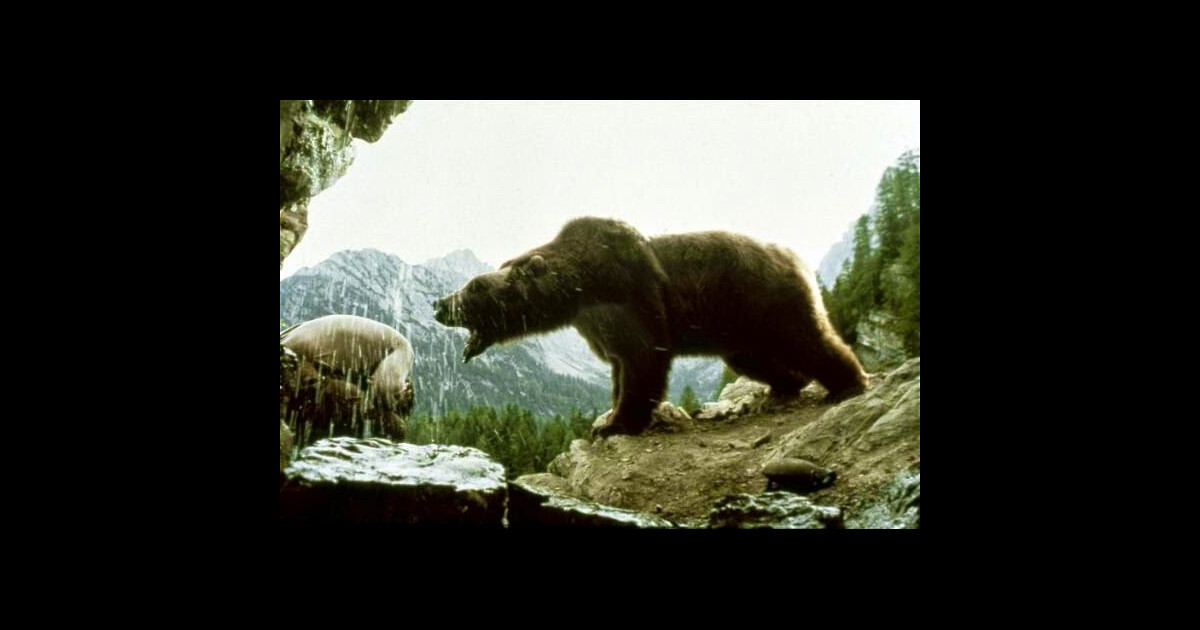 Mort de l'une des ourses du film mythique de Jean-Jacques Annaud