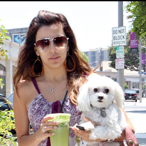 Eva Longoria avec son chien dans les rues de West Hollywood le 28 juin 2008.