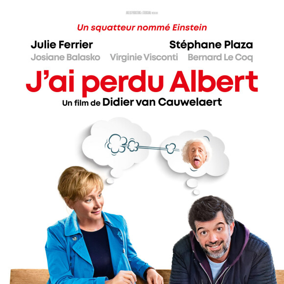 Stéphane Plaza et Julie Ferrier se donnent la réplique dans "J'ai perdu Albert"