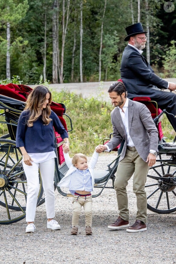 Le prince Alexander de Suède, accompagné de ses parents le prince Carl Philip et la princesse Sofia de Suède, a inauguré le 23 août 2018 une plate-forme d'observation à son nom au sein de la réserve naturelle Nynä dans le duché de Södermanland, dont il est le duc et où il effectuait, à 2 ans, sa première visite officielle.