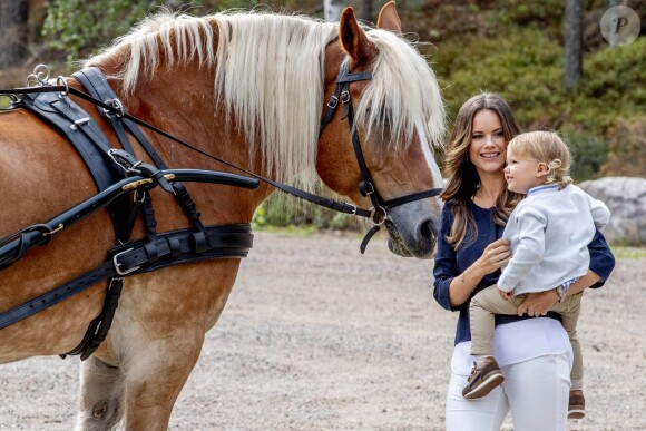 Le prince Alexander de Suède, accompagné de ses parents le prince Carl Philip et la princesse Sofia de Suède, a inauguré le 23 août 2018 une plate-forme d'observation à son nom au sein de la réserve naturelle Nynä dans le duché de Södermanland, dont il est le duc et où il effectuait, à 2 ans, sa première visite officielle.
