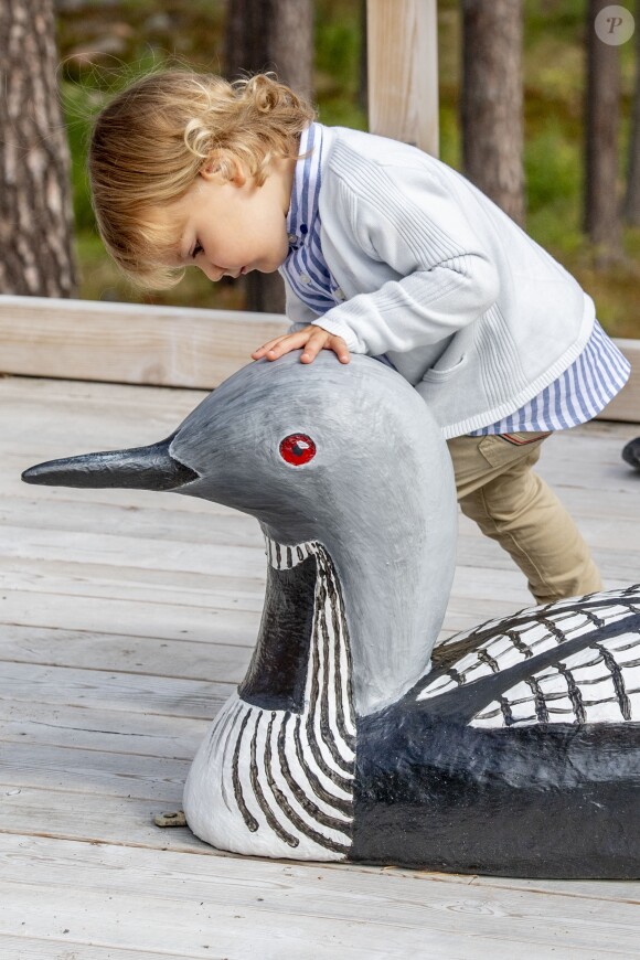 Le prince Alexander de Suède, accompagné de ses parents le prince Carl Philip et la princesse Sofia de Suède, a inauguré le 23 août 2018 une plate-forme d'observation à son nom au sein de la réserve naturelle Nynä dans le duché de Södermanland, dont il est le duc et où il effectuait, à 2 ans, sa première visite officielle.