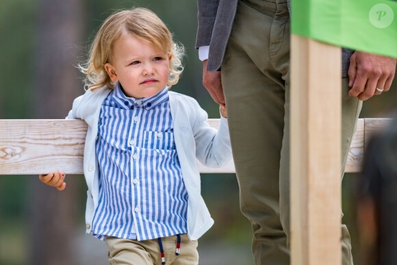 Le prince Alexander de Suède, accompagné de ses parents le prince Carl Philip et la princesse Sofia de Suède, a inauguré le 23 août 2018 une plate-forme d'observation à son nom au sein de la réserve naturelle Nynä dans le duché de Södermanland, dont il est le duc et où il effectuait, à 2 ans, sa première visite officielle.