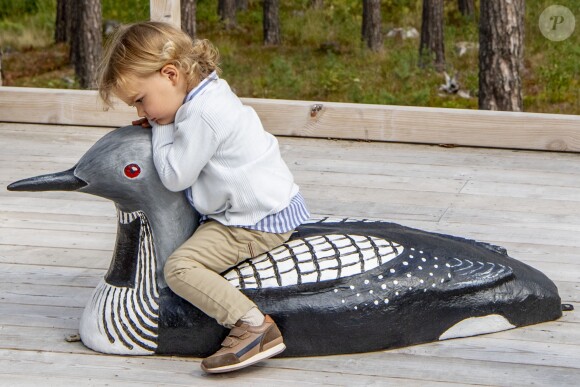 Le prince Alexander de Suède, accompagné de ses parents le prince Carl Philip et la princesse Sofia de Suède, a inauguré le 23 août 2018 une plate-forme d'observation à son nom au sein de la réserve naturelle Nynä dans le duché de Södermanland, dont il est le duc et où il effectuait, à 2 ans, sa première visite officielle.