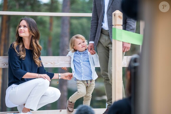 Le prince Alexander de Suède, accompagné de ses parents le prince Carl Philip et la princesse Sofia de Suède, a inauguré le 23 août 2018 une plate-forme d'observation à son nom au sein de la réserve naturelle Nynä dans le duché de Södermanland, dont il est le duc et où il effectuait, à 2 ans, sa première visite officielle.
