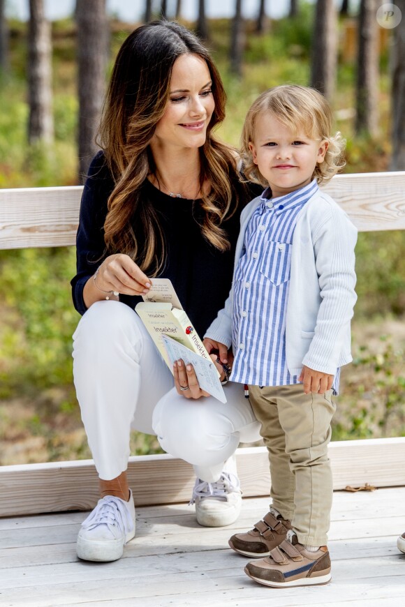 Le prince Alexander de Suède, accompagné de ses parents le prince Carl Philip et la princesse Sofia de Suède, a inauguré le 23 août 2018 une plate-forme d'observation à son nom au sein de la réserve naturelle Nynä dans le duché de Södermanland, dont il est le duc et où il effectuait, à 2 ans, sa première visite officielle.