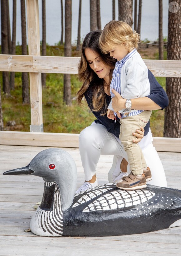 Le prince Alexander de Suède, accompagné de ses parents le prince Carl Philip et la princesse Sofia de Suède, a inauguré le 23 août 2018 une plate-forme d'observation à son nom au sein de la réserve naturelle Nynä dans le duché de Södermanland, dont il est le duc et où il effectuait, à 2 ans, sa première visite officielle.