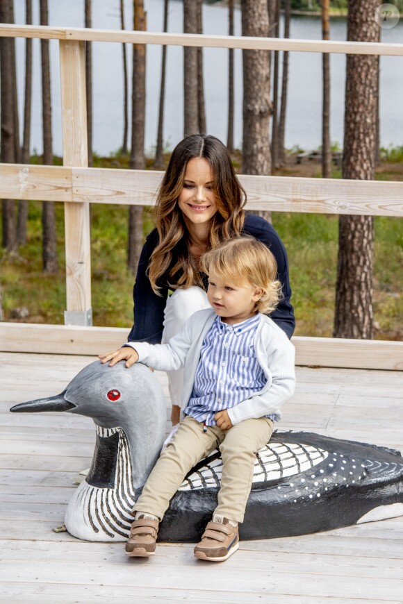 Le prince Alexander de Suède, accompagné de ses parents le prince Carl Philip et la princesse Sofia de Suède, a inauguré le 23 août 2018 une plate-forme d'observation à son nom au sein de la réserve naturelle Nynä dans le duché de Södermanland, dont il est le duc et où il effectuait, à 2 ans, sa première visite officielle.