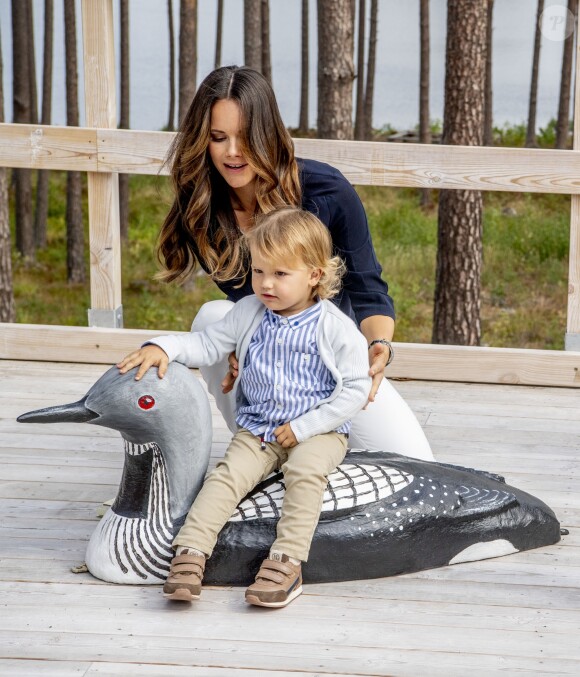 Le prince Alexander de Suède, accompagné de ses parents le prince Carl Philip et la princesse Sofia de Suède, a inauguré le 23 août 2018 une plate-forme d'observation à son nom au sein de la réserve naturelle Nynä dans le duché de Södermanland, dont il est le duc et où il effectuait, à 2 ans, sa première visite officielle.