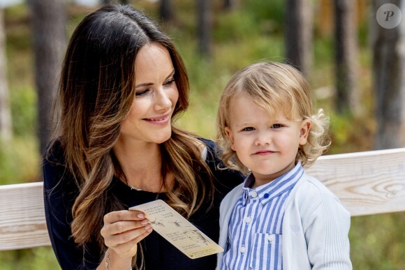 Le prince Alexander de Suède, accompagné de ses parents le prince Carl Philip et la princesse Sofia de Suède, a inauguré le 23 août 2018 une plate-forme d'observation à son nom au sein de la réserve naturelle Nynä dans le duché de Södermanland, dont il est le duc et où il effectuait, à 2 ans, sa première visite officielle.