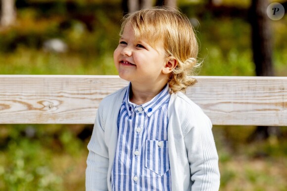 Le prince Alexander de Suède, accompagné de ses parents le prince Carl Philip et la princesse Sofia de Suède, a inauguré le 23 août 2018 une plate-forme d'observation à son nom au sein de la réserve naturelle Nynä dans le duché de Södermanland, dont il est le duc et où il effectuait, à 2 ans, sa première visite officielle.