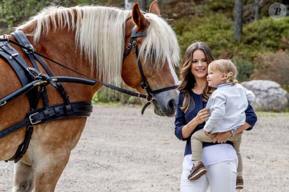 Le prince Alexander de Suède, accompagné de ses parents le prince Carl Philip et la princesse Sofia de Suède, a inauguré le 23 août 2018 une plate-forme d'observation à son nom au sein de la réserve naturelle Nynä dans le duché de Södermanland, dont il est le duc et où il effectuait, à 2 ans, sa première visite officielle.