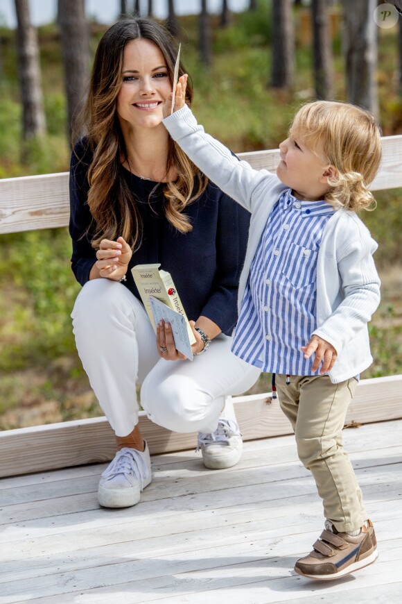 Le prince Alexander de Suède, accompagné de ses parents le prince Carl Philip et la princesse Sofia de Suède, a inauguré le 23 août 2018 une plate-forme d'observation à son nom au sein de la réserve naturelle Nynä dans le duché de Södermanland, dont il est le duc et où il effectuait, à 2 ans, sa première visite officielle.